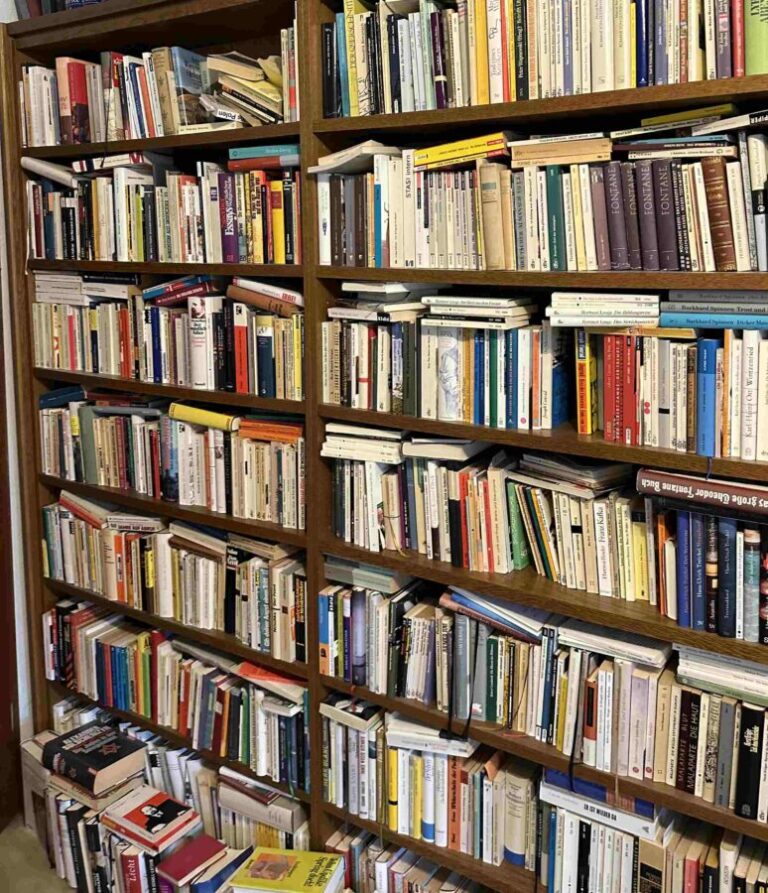 Bücherregal, auf dem die Buchrücken gut zu erkennen sind